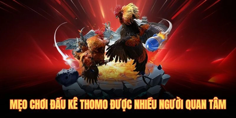 Mẹo chơi đấu kê thomo được nhiều người quan tâm