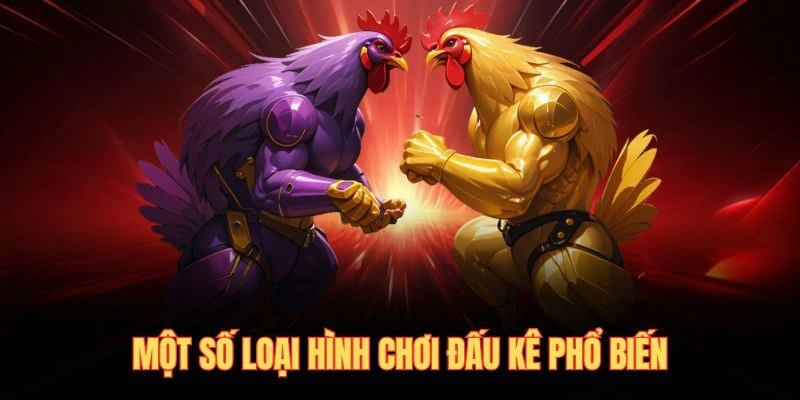 Một số loại hình chơi đấu kê phổ biến